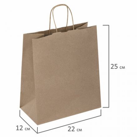 Крафт-пакет бумажный 22х12х25 см, КОМПЛЕКТ 50 шт., крученые ручки, плотность 90 г/м2, LAIMA ECO CRAFT, 609684 Крафт-пакет бумажный 22х12х25 см, КОМПЛЕКТ 50 шт., крученые ручки, плотность 90 г/м2, LAIMA ECO CRAFT, 609684
