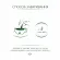 Чай фруктовый Greenfield Summer Bouquet в фольгированных пакетиках, 25 пакетиков в упаковке 0433-10,63107