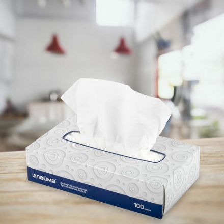Салфетки косметические 100 штук в картонном боксе, 2-слойные, LAIMA/ЛАЙМА, 19,5х20 см, 126909 Салфетки косметические 100 штук в картонном боксе, 2-слойные, LAIMA/ЛАЙМА, 19,5х20 см, 126909