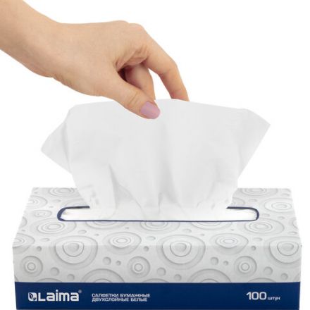 Салфетки косметические 100 штук в картонном боксе, 2-слойные, LAIMA/ЛАЙМА, 19,5х20 см, 126909 Салфетки косметические 100 штук в картонном боксе, 2-слойные, LAIMA/ЛАЙМА, 19,5х20 см, 126909