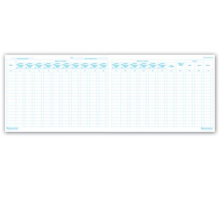 Главная книга, форма ОКУД 0504072, 48 л., картон, блок офсет, А4 292х200 мм, STAFF, 130075