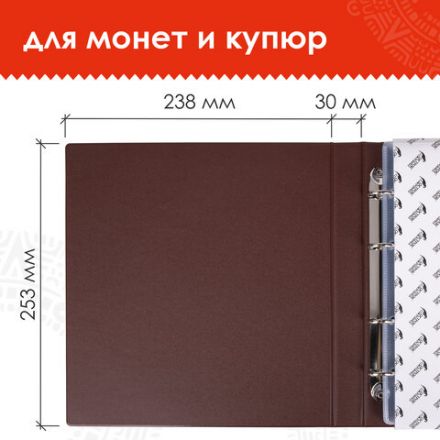 Альбом нумизмата для 380 монет (диаметр до 38 мм) и купюр, 253х238 мм, коричневый, ОСТРОВ СОКРОВИЩ, 237961
