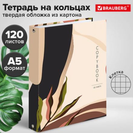 Тетрадь на кольцах А5 (175х215 мм), 120 листов, твердый картон, клетка, BRAUBERG, Vision, 404075 Тетрадь на кольцах А5 (175х215 мм), 120 листов, твердый картон, клетка, BRAUBERG, Vision, 404075