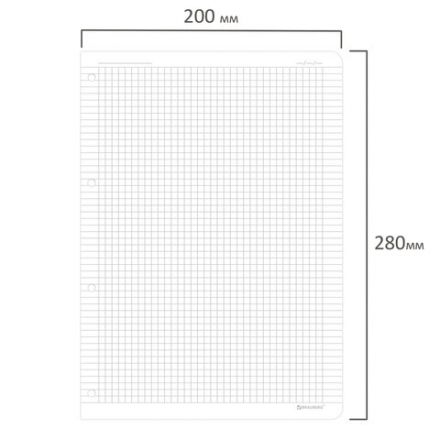 Сменный блок для тетради на кольцах БОЛЬШОЙ ФОРМАТ А4 120 л., BRAUBERG, ПОВЫШЕННОЙ ПЛОТНОСТИ, белый, 404516 Сменный блок для тетради на кольцах БОЛЬШОЙ ФОРМАТ А4 120 л., BRAUBERG, ПОВЫШЕННОЙ ПЛОТНОСТИ, белый, 404516
