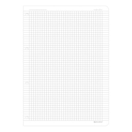 Сменный блок для тетради на кольцах БОЛЬШОЙ ФОРМАТ А4 120 л., BRAUBERG, ПОВЫШЕННОЙ ПЛОТНОСТИ, белый, 404516 Сменный блок для тетради на кольцах БОЛЬШОЙ ФОРМАТ А4 120 л., BRAUBERG, ПОВЫШЕННОЙ ПЛОТНОСТИ, белый, 404516