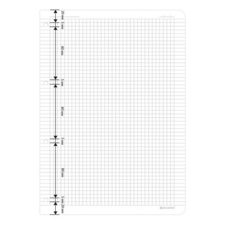 Сменный блок для тетради на кольцах БОЛЬШОЙ ФОРМАТ А4 120 л., BRAUBERG, ПОВЫШЕННОЙ ПЛОТНОСТИ, белый, 404516 Сменный блок для тетради на кольцах БОЛЬШОЙ ФОРМАТ А4 120 л., BRAUBERG, ПОВЫШЕННОЙ ПЛОТНОСТИ, белый, 404516