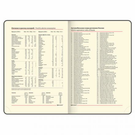 Ежедневник недатированный А5 (138х213 мм), BRAUBERG VISTA, под кожу, гибкий, 136 л., "Watercolour rain", 112005 Ежедневник недатированный А5 (138х213 мм), BRAUBERG VISTA, под кожу, гибкий, 136 л., "Watercolour rain", 112005
