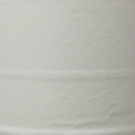 Бумага туалетная д/дисп Luscan Prof Etalon ЦВ 2сл бел цел 100м 12рул/уп