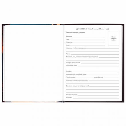 Дневник 5-11 класс 48 л., твердый, BRAUBERG, глянцевая ламинация, с подсказом, "Мир будущего", 106870