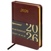 Ежедневник датированный 2026, МАЛЫЙ ФОРМАТ 100х150 мм, А6, BRAUBERG "Iguana", под кожу, коричневый, 117253