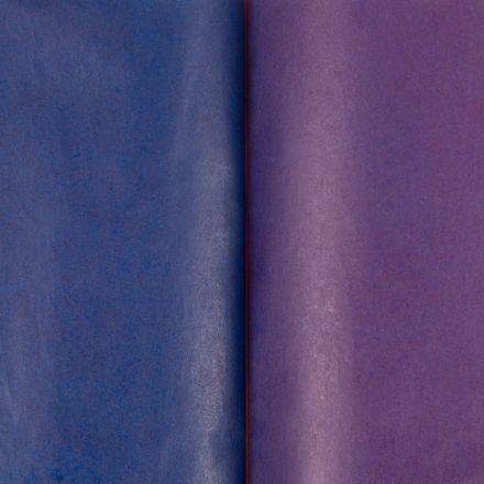 Бумага цветная Всезнайка 8л.8цв.одностор.газетная скоба обл.офсет Бумага цветная Всезнайка 8л.8цв.одностор.газетная скоба обл.офсет