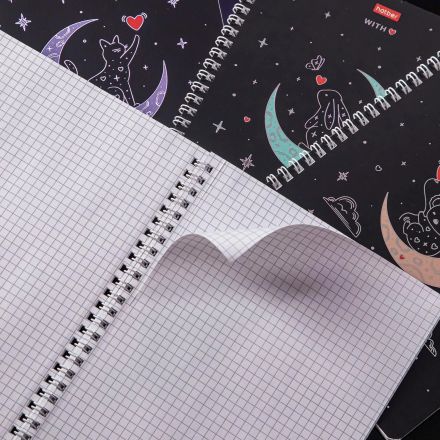 Тетрадь 48л А5ф клетка,гребнь,мел.карт,ассорт,На серебряной луне,091165 Тетрадь 48л А5ф клетка,гребнь,мел.карт,ассорт,На серебряной луне,091165