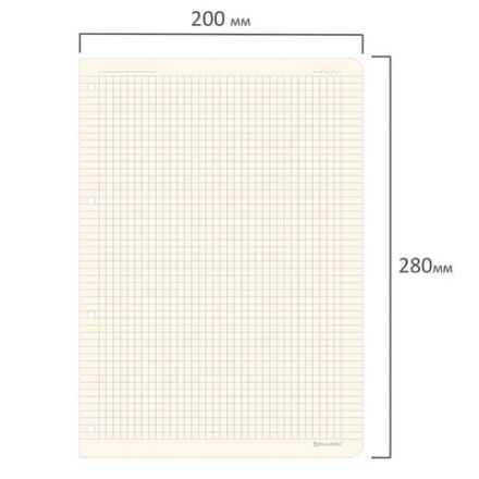 Сменный блок для тетради на кольцах БОЛЬШОЙ ФОРМАТ А4 120 л., BRAUBERG, ПОВЫШЕННОЙ ПЛОТНОСТИ, кремовый, 404517 Сменный блок для тетради на кольцах БОЛЬШОЙ ФОРМАТ А4 120 л., BRAUBERG, ПОВЫШЕННОЙ ПЛОТНОСТИ, кремовый, 404517