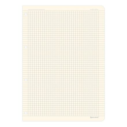 Сменный блок для тетради на кольцах БОЛЬШОЙ ФОРМАТ А4 120 л., BRAUBERG, ПОВЫШЕННОЙ ПЛОТНОСТИ, кремовый, 404517 Сменный блок для тетради на кольцах БОЛЬШОЙ ФОРМАТ А4 120 л., BRAUBERG, ПОВЫШЕННОЙ ПЛОТНОСТИ, кремовый, 404517