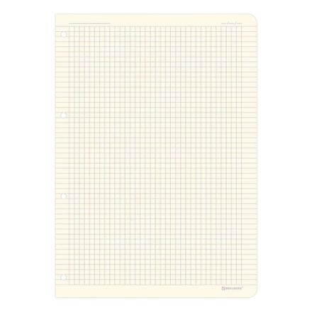Сменный блок для тетради на кольцах БОЛЬШОЙ ФОРМАТ А4 120 л., BRAUBERG, ПОВЫШЕННОЙ ПЛОТНОСТИ, кремовый, 404517