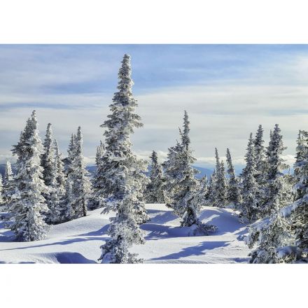 Календарь настенный 3-х блочный 2026 Родные просторы 340х820мм, 4 постера