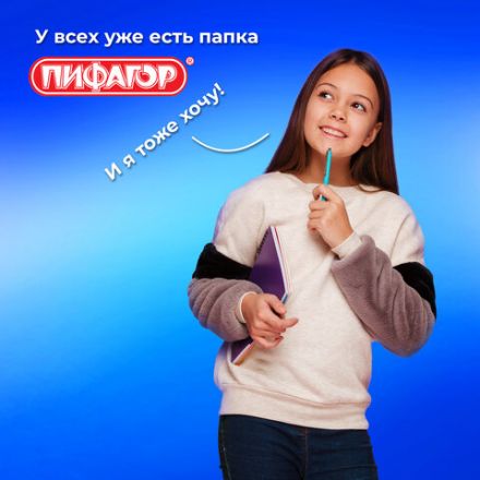 Папка для тетрадей ПИФАГОР А4, 1 отделение, картон/пластик, на молнии, "Happy bear", 272126