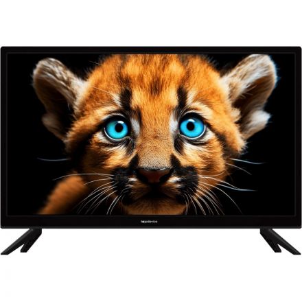 Телевизор 24 Topdevice TDTV24BS01H_BK, HD ready, смарт (WildRed)