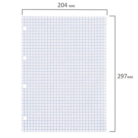 Сменный блок к тетради на кольцах БОЛЬШОГО ФОРМАТА А4, 120 л., BRAUBERG, Белый, 404518 Сменный блок к тетради на кольцах БОЛЬШОГО ФОРМАТА А4, 120 л., BRAUBERG, Белый, 404518