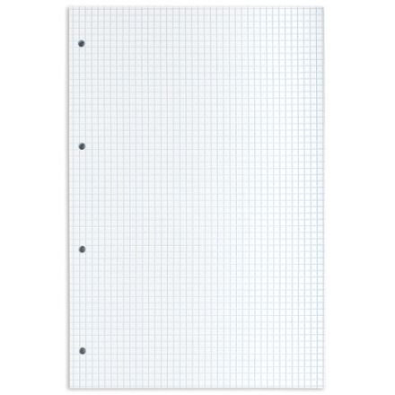 Сменный блок к тетради на кольцах БОЛЬШОГО ФОРМАТА А4, 120 л., BRAUBERG, Белый, 404518 Сменный блок к тетради на кольцах БОЛЬШОГО ФОРМАТА А4, 120 л., BRAUBERG, Белый, 404518