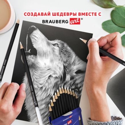 Карандаши художественные белые, НАБОР 12 шт. BRAUBERG ART CLASSIC, МЯГКИЙ грифель 3,3 мм, 181896 Карандаши художественные белые, НАБОР 12 шт. BRAUBERG ART CLASSIC, МЯГКИЙ грифель 3,3 мм, 181896