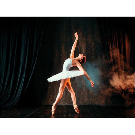 Картина стразами (алмазная мозаика) 30х40 см, ОСТРОВ СОКРОВИЩ "Балерина", без подрамника, 662401 Картина стразами (алмазная мозаика) 30х40 см, ОСТРОВ СОКРОВИЩ "Балерина", без подрамника, 662401