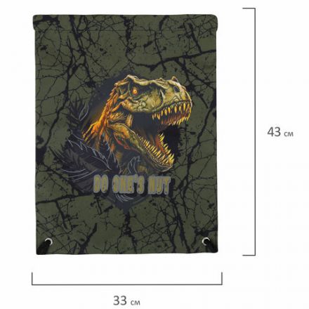 Мешок для обуви BRAUBERG PREMIUM, карман, подкладка, светоотражайка, 43х33 см, Dino attack, 272424 Мешок для обуви BRAUBERG PREMIUM, карман, подкладка, светоотражайка, 43х33 см, Dino attack, 272424