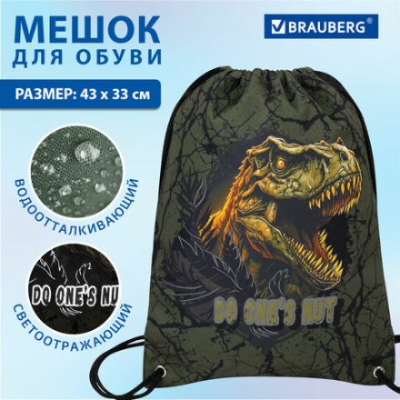 Мешок для обуви BRAUBERG PREMIUM, карман, подкладка, светоотражайка, 43х33 см, Dino attack, 272424 Мешок для обуви BRAUBERG PREMIUM, карман, подкладка, светоотражайка, 43х33 см, Dino attack, 272424