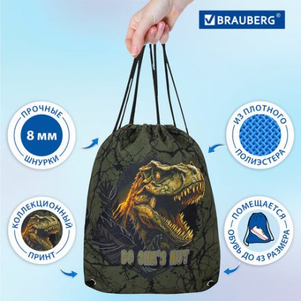 Мешок для обуви BRAUBERG PREMIUM, карман, подкладка, светоотражайка, 43х33 см, Dino attack, 272424 Мешок для обуви BRAUBERG PREMIUM, карман, подкладка, светоотражайка, 43х33 см, Dino attack, 272424