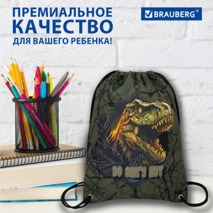 Мешок для обуви BRAUBERG PREMIUM, карман, подкладка, светоотражайка, 43х33 см, Dino attack, 272424 Мешок для обуви BRAUBERG PREMIUM, карман, подкладка, светоотражайка, 43х33 см, Dino attack, 272424