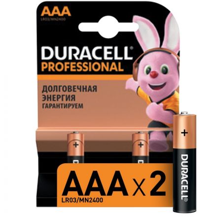 Батарейки DURACELL Professional ААA/LR03 бл/2шт