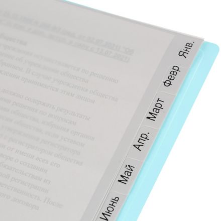 Разделитель листов Attache A4 пластиковый 12 листов (по месяцам)