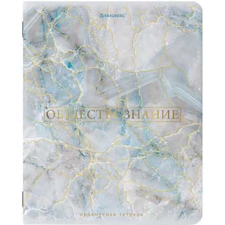 Тетради предметные со справочным материалом, КОМПЛЕКТ 10 ПРЕДМЕТОВ, 48 л., SoftTouch, фольга, BRAUBERG, "PASTEL", 404031