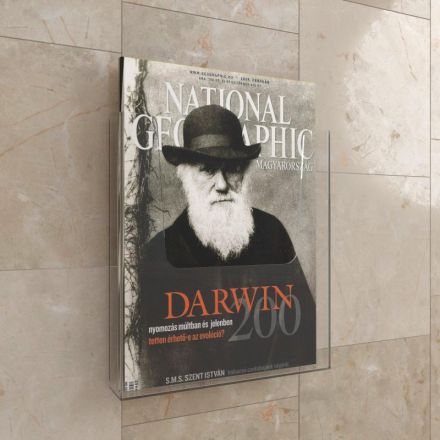 Карман настенный Attache из пластика А4 (249x224 мм, 2 штуки в упаковке) Карман настенный Attache из пластика А4 (249x224 мм, 2 штуки в упаковке)