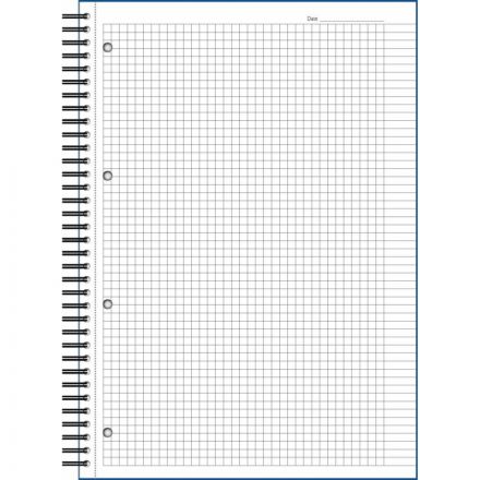 Бизнес-тетрадь Attache Selection LightBook А4 100 листов синяя в клетку на спирали (218х297 мм) Бизнес-тетрадь Attache Selection LightBook А4 100 листов синяя в клетку на спирали (218х297 мм)