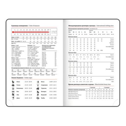 Ежедневник датированный 2026, МАЛЫЙ ФОРМАТ 100х150 мм, А6, BRAUBERG "Rainbow", под кожу, черный, 117257
