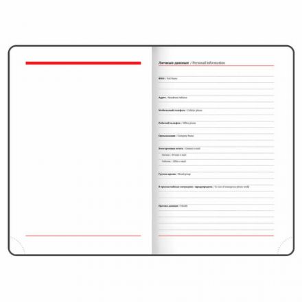 Ежедневник с магнитным клапаном недатированный, под кожу, А5, фиолетовый, BRAUBERG "Magnetic X", 113282 Ежедневник с магнитным клапаном недатированный, под кожу, А5, фиолетовый, BRAUBERG "Magnetic X", 113282