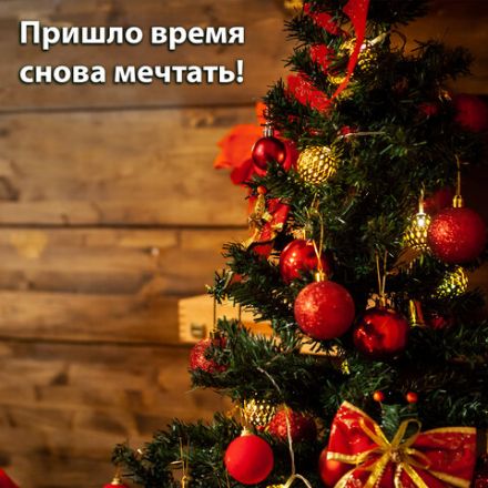 Шары новогодние ёлочные "Red & Gold Luxury" 70 предметов, красный/золото, ЗОЛОТАЯ СКАЗКА, 591714 Шары новогодние ёлочные "Red & Gold Luxury" 70 предметов, красный/золото, ЗОЛОТАЯ СКАЗКА, 591714