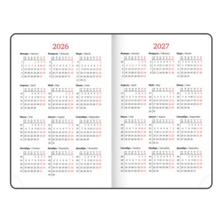 Ежедневник датированный 2026, МАЛЫЙ ФОРМАТ 100х150 мм, А6, BRAUBERG "Rainbow", под кожу, желтый, 117258