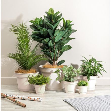 Горшок д/цветов Mint D240мм, 5л с поддоном (светло-бежевый), 221612125 Горшок д/цветов Mint D240мм, 5л с поддоном (светло-бежевый), 221612125