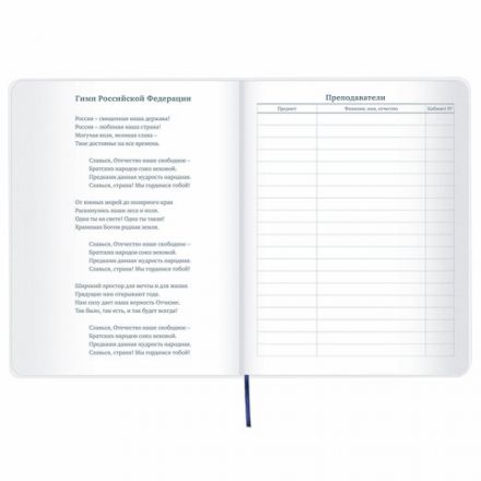 Дневник 1-11 класс 48 л., кожзам (гибкая), термотиснение, фольга, BRAUBERG, "МЕДВЕДЬ", 105969