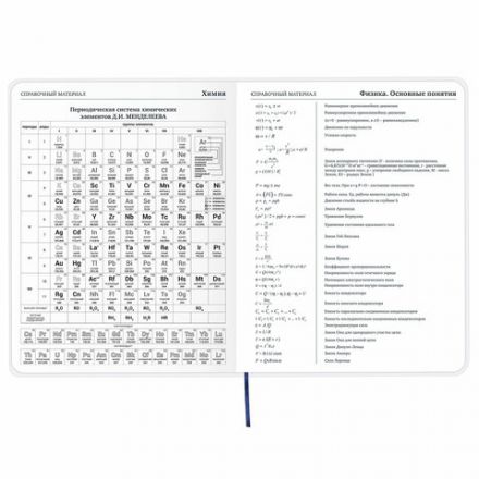 Дневник 1-11 класс 48 л., кожзам (гибкая), термотиснение, фольга, BRAUBERG, "МЕДВЕДЬ", 105969
