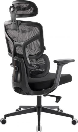 Эргономичное кресло Everprof Omega Black Сетка Черный