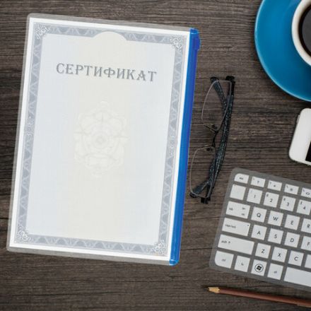 Папка-конверт СУПЕР КОМПЛЕКТ на молнии, 12 штук, А4 (335х238 мм), BRAUBERG, 271346 Папка-конверт СУПЕР КОМПЛЕКТ на молнии, 12 штук, А4 (335х238 мм), BRAUBERG, 271346