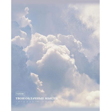 Тетрадь 48л А5ф клетка,скоба,мел.картон ламин.СОФТ ТАЧ,ассорт,Мечта,094355 Тетрадь 48л А5ф клетка,скоба,мел.картон ламин.СОФТ ТАЧ,ассорт,Мечта,094355
