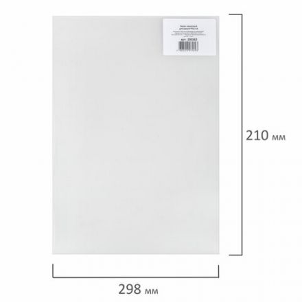 Экран защитный для рамки POS ФОРМАТА А4 (код 290250, 290251, 290252, 290253), прозрачный, 290262 Экран защитный для рамки POS ФОРМАТА А4 (код 290250, 290251, 290252, 290253), прозрачный, 290262