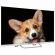 Телевизор TOPDEVICE TDTV32CS03H_WE, 32'' (80 см), 1366x768, HD, 16:9, YaOS, Wi-Fi, Bluetooth, белый Телевизор TOPDEVICE TDTV32CS03H_WE, 32'' (80 см), 1366x768, HD, 16:9, YaOS, Wi-Fi, Bluetooth, белый