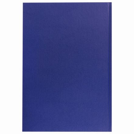 Журнал регистрации вводного инструктажа, 96 л., А4 200х290 мм, бумвинил, офсет BRAUBERG, 130258 Журнал регистрации вводного инструктажа, 96 л., А4 200х290 мм, бумвинил, офсет BRAUBERG, 130258