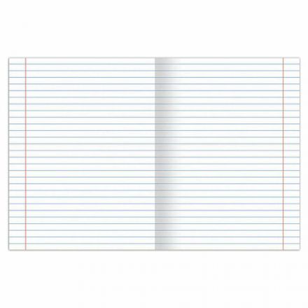 Тетрадь предметная "SPORT CLUB" 48 л., обложка картон, ЛИТЕРАТУРА, линия, подсказ, BRAUBERG, 404802