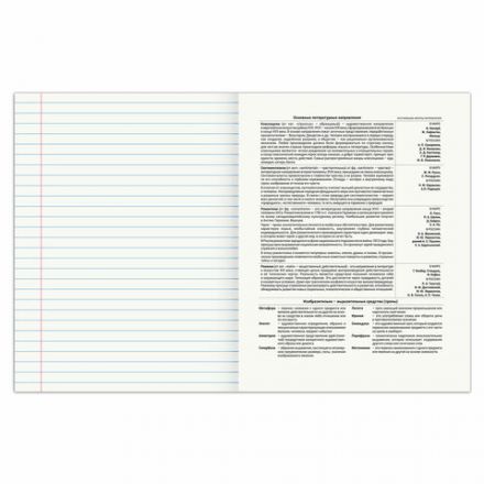 Тетрадь предметная "SPORT CLUB" 48 л., обложка картон, ЛИТЕРАТУРА, линия, подсказ, BRAUBERG, 404802